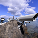 Illustration for article titled An Artful Reminder That Surveillance Is Becoming Second Nature